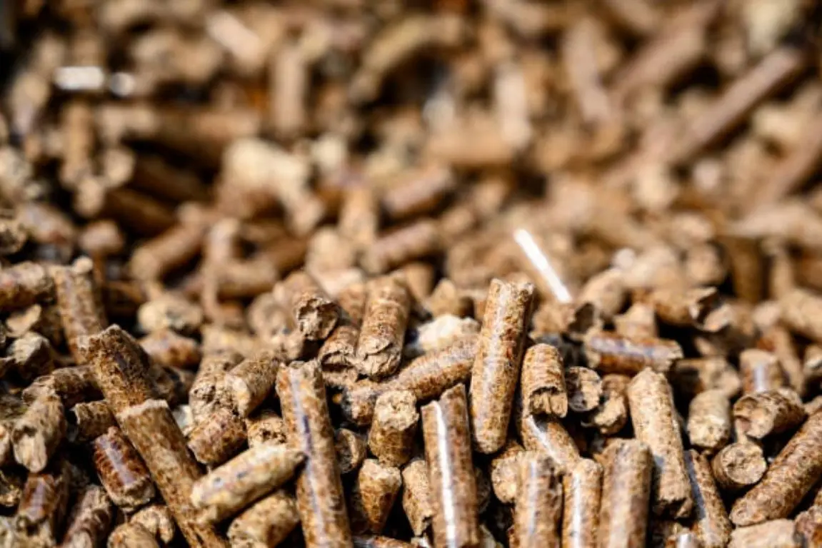 Wood Pellet Production2